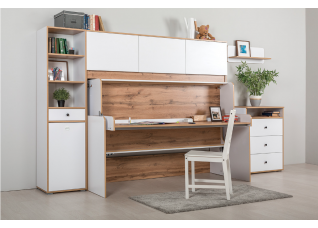 Модульная система для молодежной «Вуди»