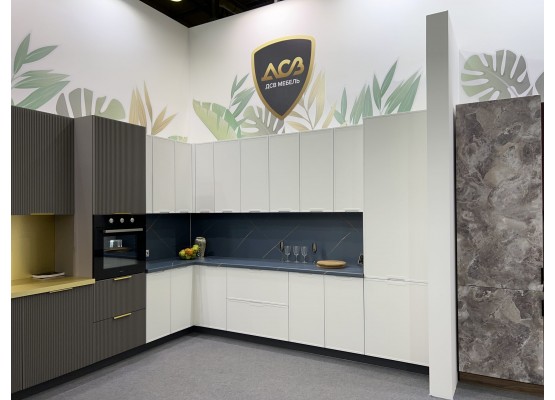 Кухня «Арка», ДСВ