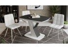 Стол обеденный «Гарда» Тип 1 Белый, Черный, ТриЯ