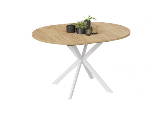 Стол обеденный раздвижной «Мэдисон» Тип 1 Белый, Светло-коричневый, ТриЯ