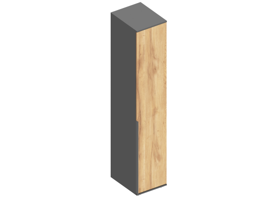 Пенал "Стил" 1-ств с полками (штанга в комплекте) 400х500х2100 Темно серый/Дуб золотистый, Велес