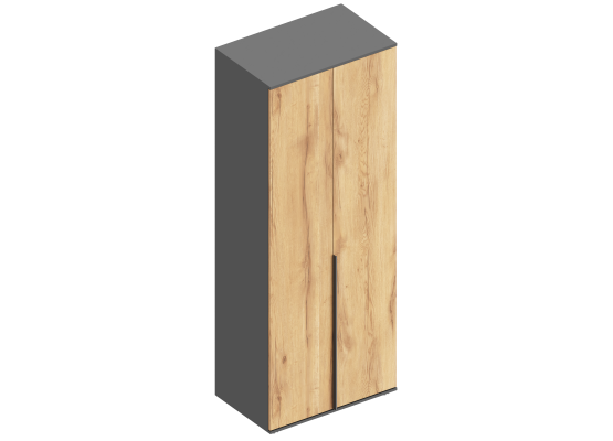 Шкаф "Стил" 2-ств для одежды 800х500х2100 Темно серый/Дуб золотистый, Велес