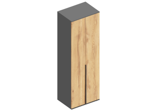 Шкаф "Стил" 2-ств с полками (штанга в комплекте) 700х500х2100 Темно серый/Дуб золотистый