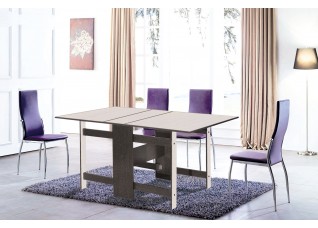 Стол-книжка "Лидер"